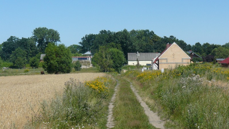 Budowlana, 21,100 m2, Połchowo  (6)