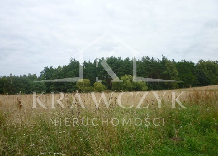 Działka, Rogowo  (3)