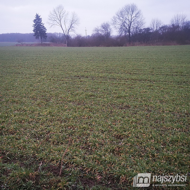 Działka, Węgorzyno Obrzeża (4)