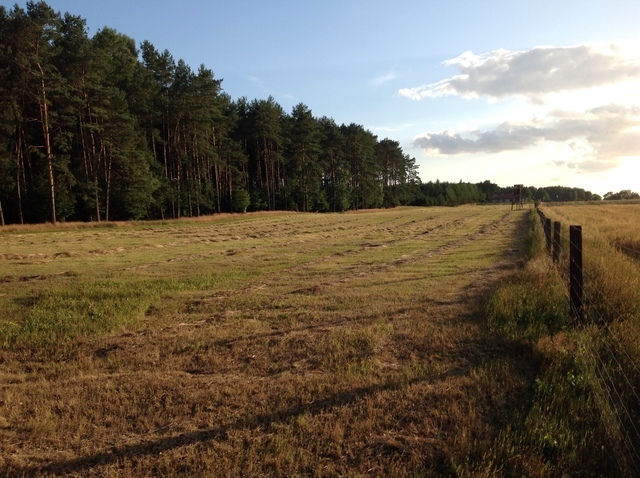 DZIAŁKA POW.3395 M2 PRZYBIERNÓW. (4)