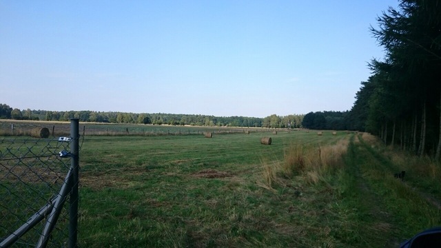 DZIAŁKA POW.3395 M2 PRZYBIERNÓW. (5)