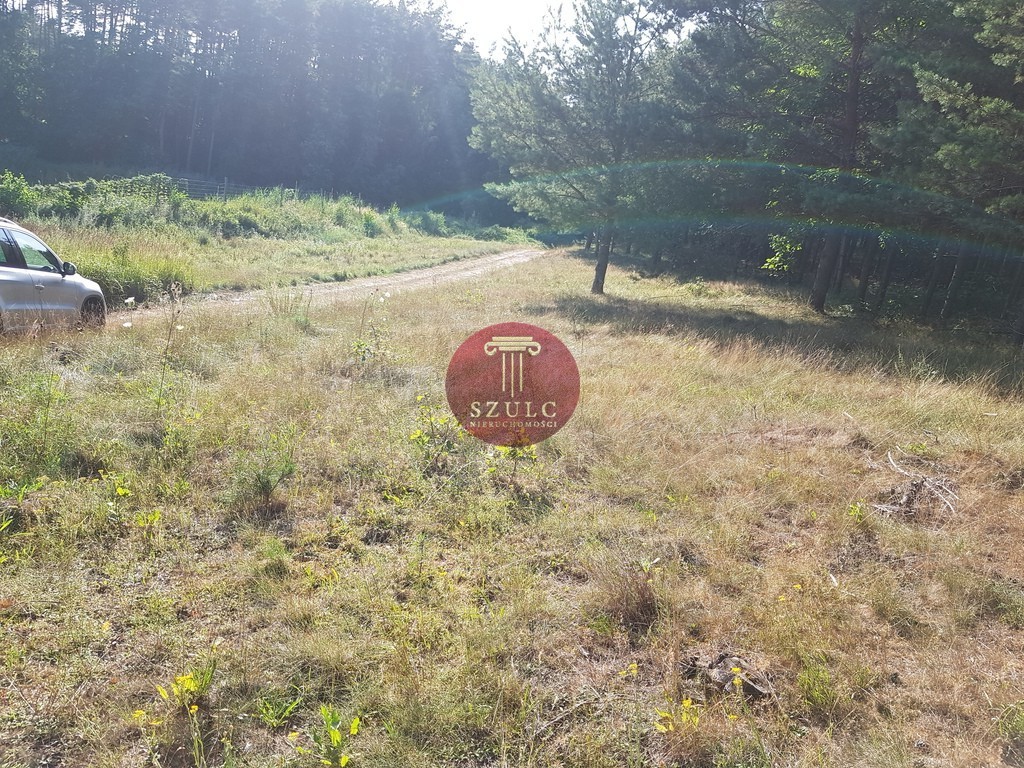 Pięknie położona działka przy lesie i jeziorze. (3)