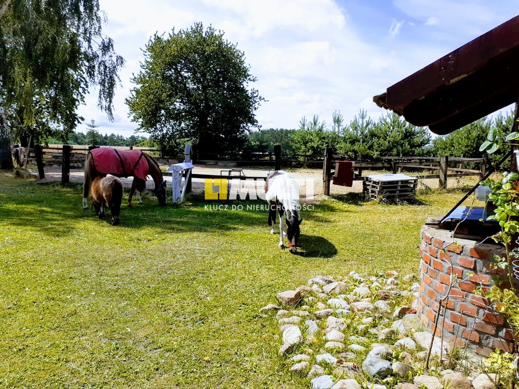 Dom-4 niezależne mieszkania, stajnia - Siemyśl. (4)