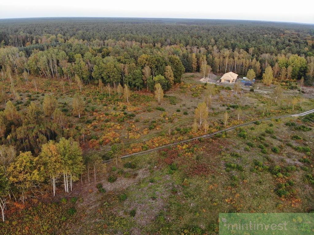 Działka pod zabudowę jednorodzinną pod lasem (3)