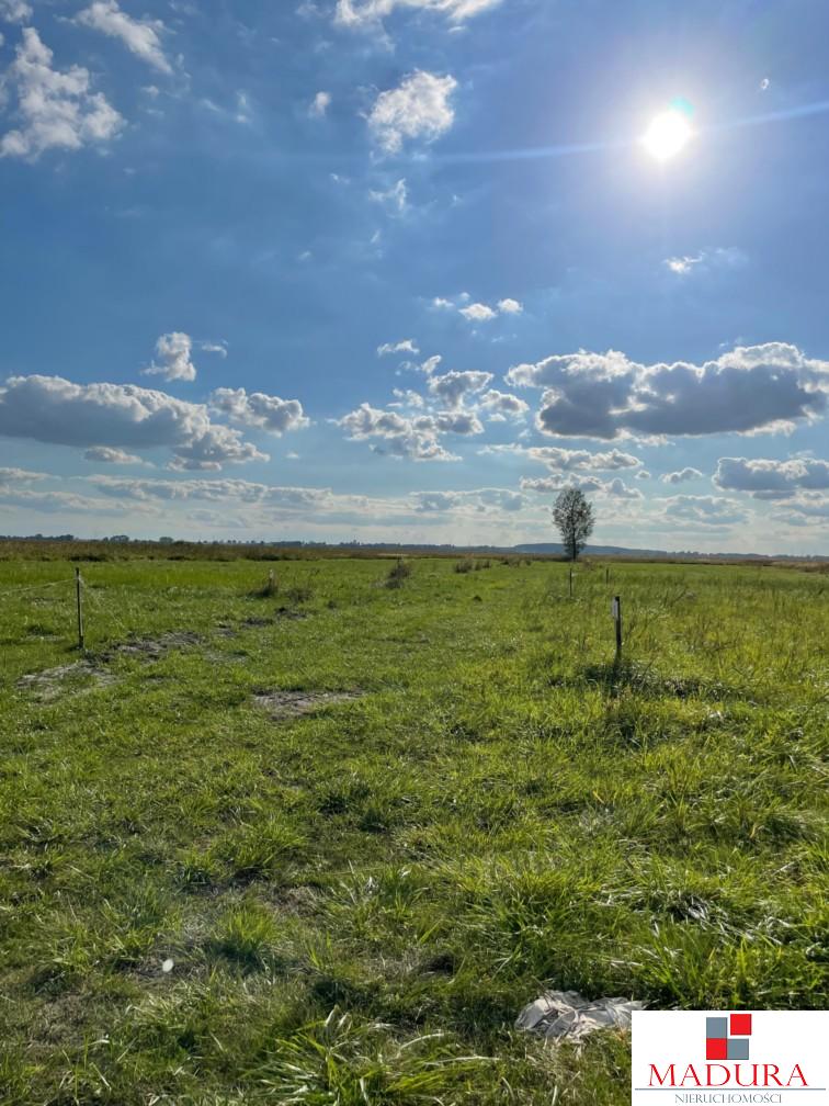 Działki nad jeziorem Miedwie !!! (1)