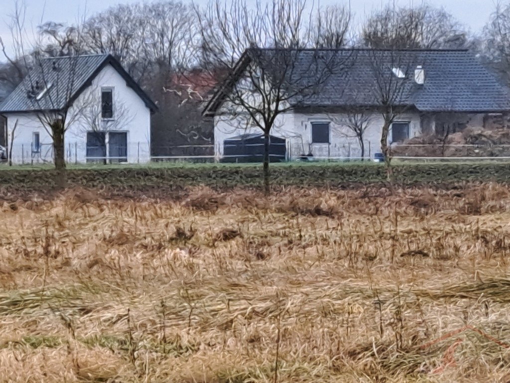 Cisza, spokój i zieleń-działka na skraju Dobrej (10)