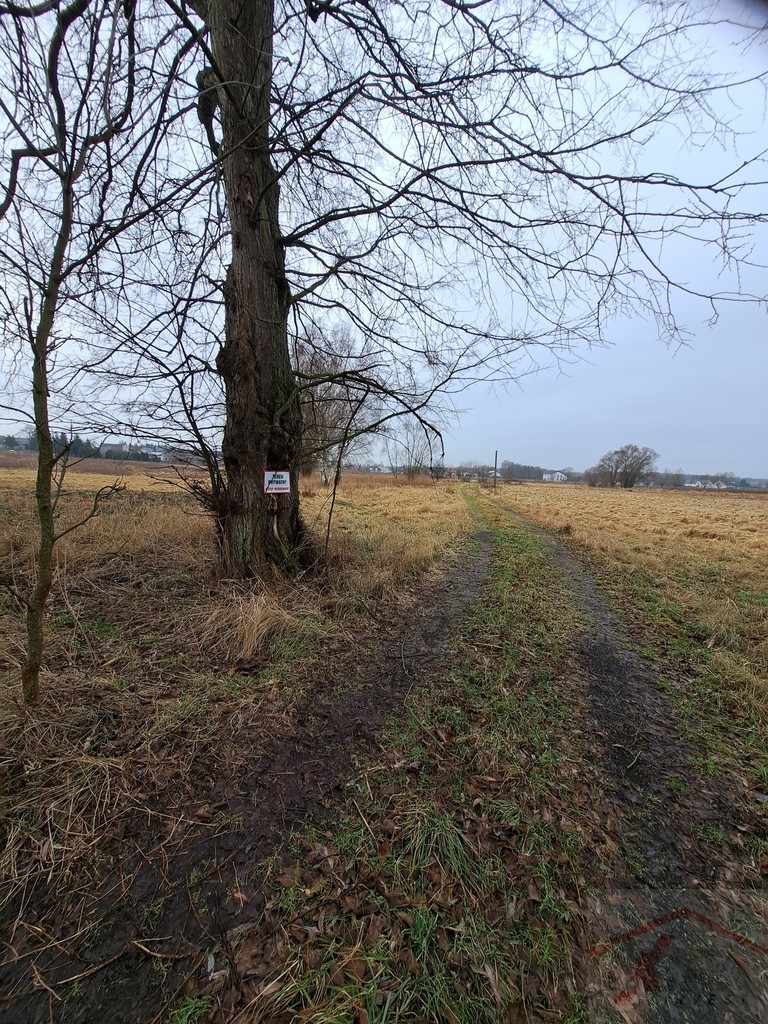 Cisza, spokój i zieleń-działka na skraju Dobrej (14)