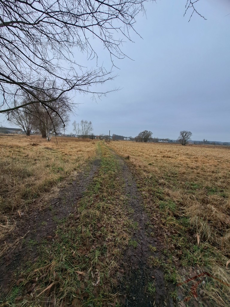 Cisza, spokój i zieleń-działka na skraju Dobrej (15)