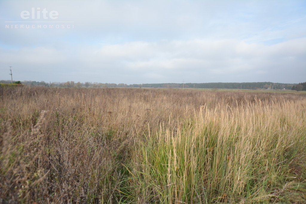 Wołczkowo działka na sprzedaż z warunkami  3003m2 (5)