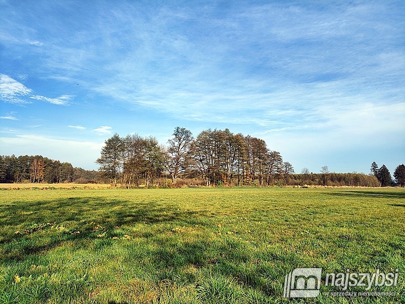 Działka, Świerzno Obrzeża (3)