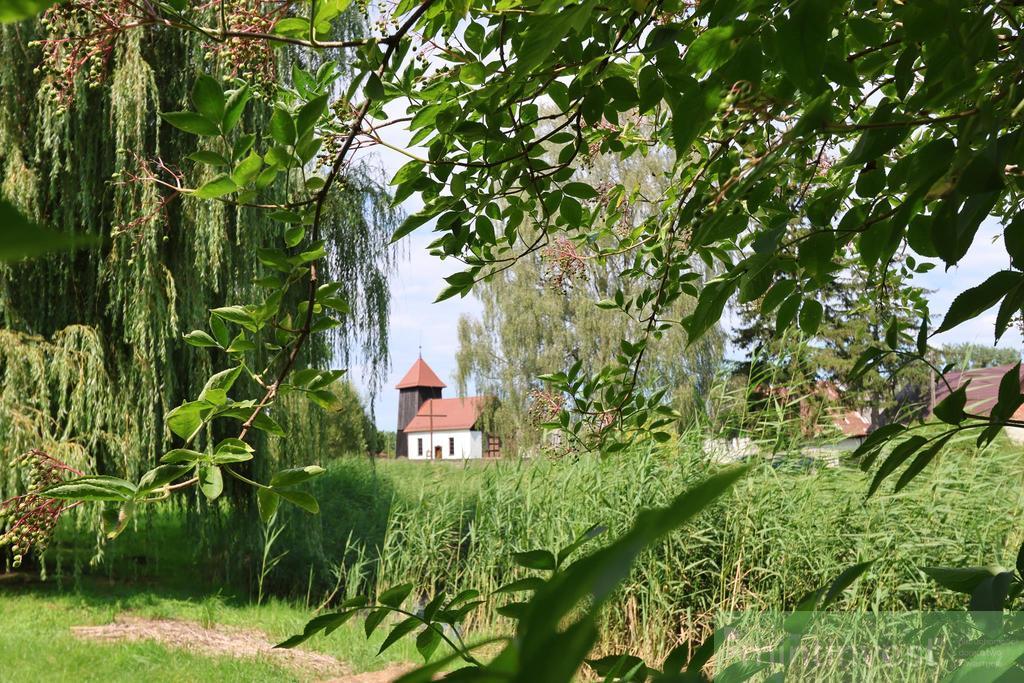 Dom i budynki gospodarcze-atrakcyjna lokalizacja (16)