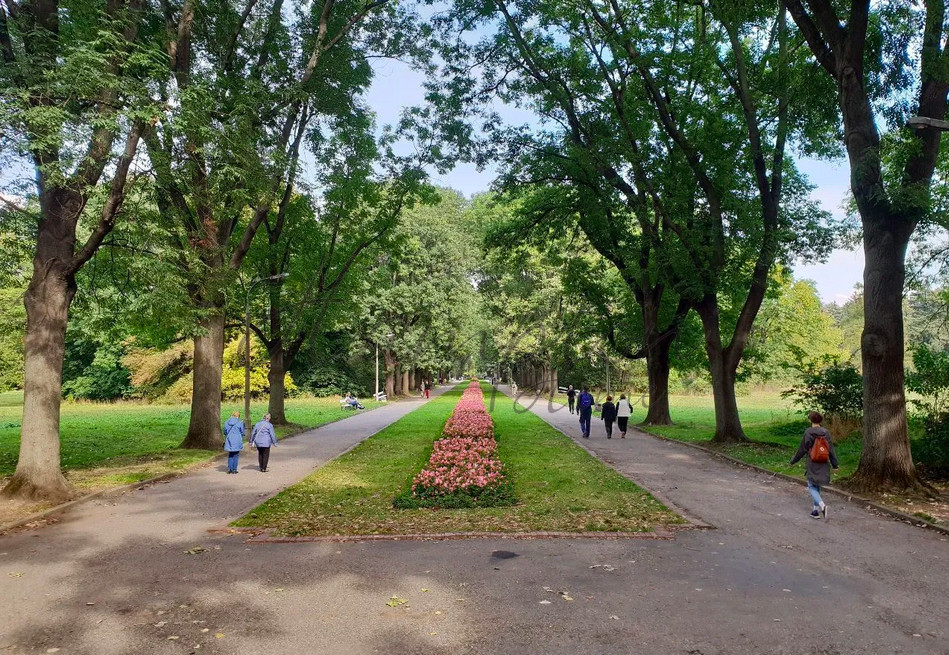 Mieszkanie, 4 pok., 101 m2, Warszawa Praga-południe (16)