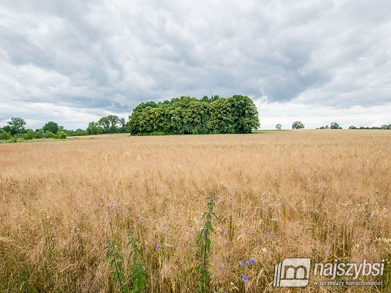 Działka, Nowogard Obrzeża (2)