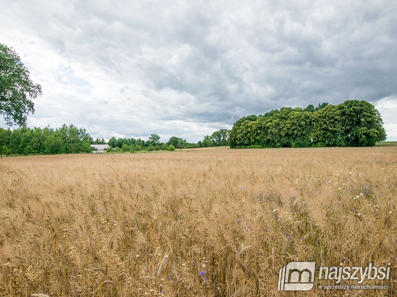 Działka, Nowogard Obrzeża (5)