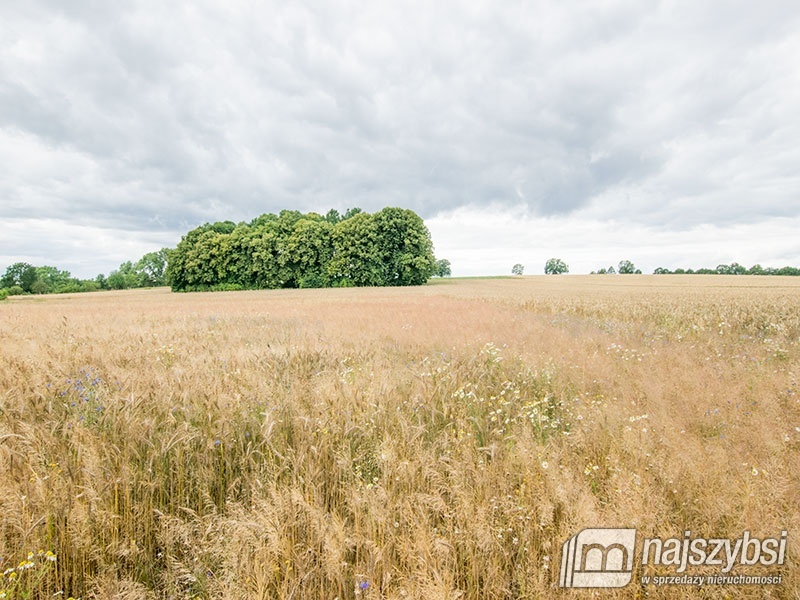 Działka, Nowogard Obrzeża (7)