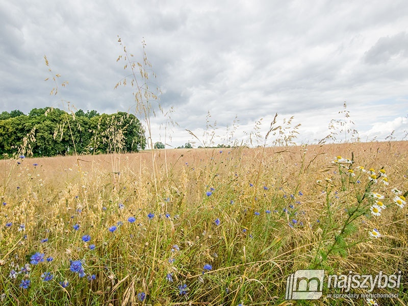 Działka, Nowogard Obrzeża (8)