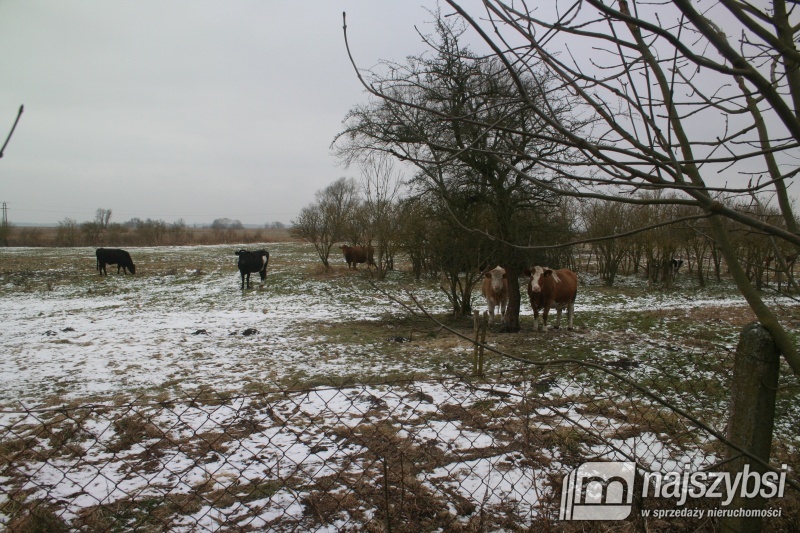 LOKAL NAD ZALEWEM SZCZECIŃSKIM! (10)