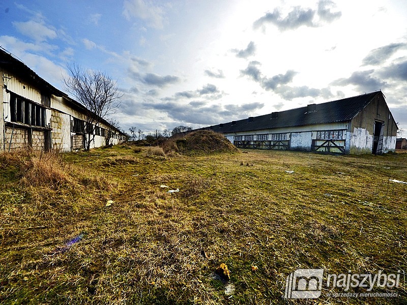 Lokal, 555,000 m2, Choszczno  (18)