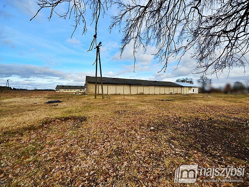 Lokal, 555,000 m2, Choszczno  (26)