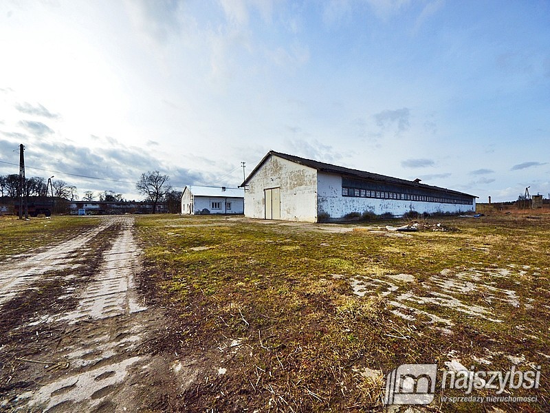 Lokal, 555,000 m2, Choszczno  (6)