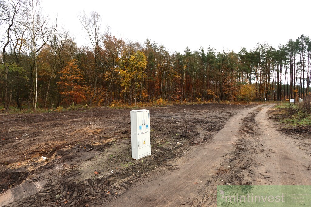 DZIAŁKA BUDOWLANA Z MEDIAMI POD LASEM GOLENIÓW (1)