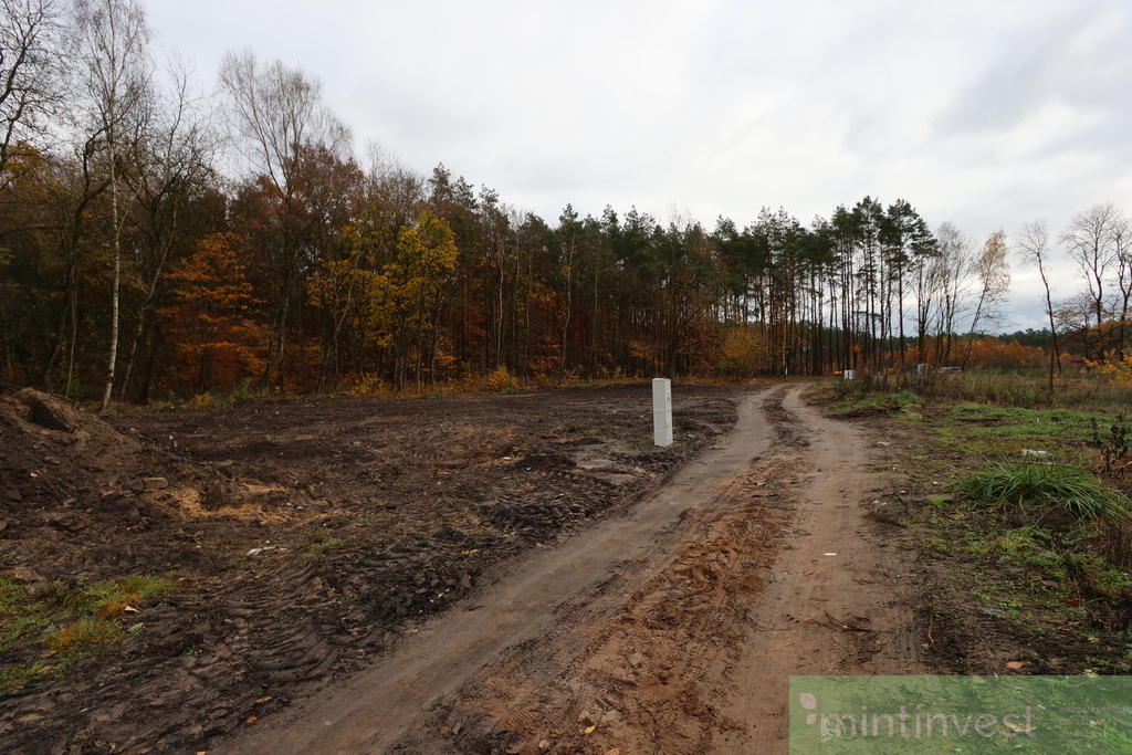 DZIAŁKA BUDOWLANA Z MEDIAMI POD LASEM GOLENIÓW (2)