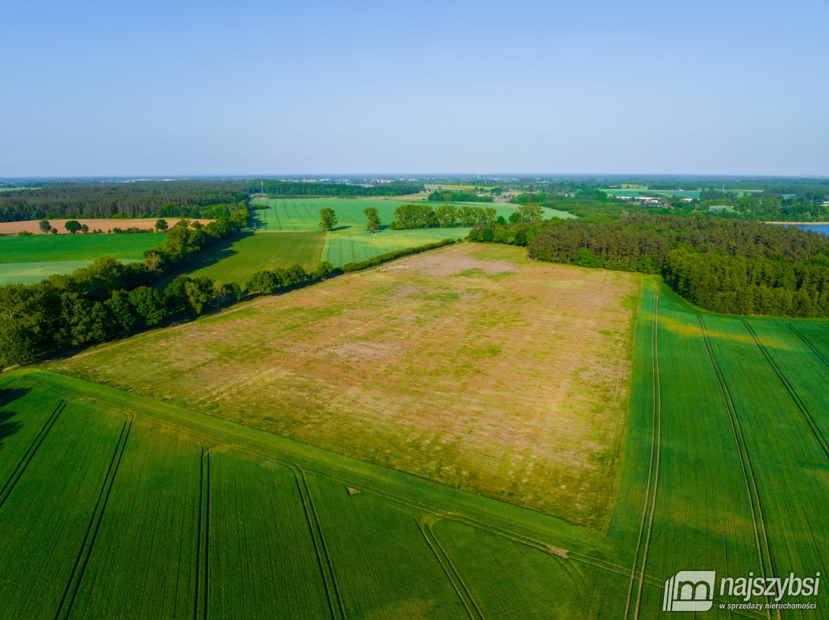 Kompleks działek nad jeziorem / miejscowy plan (6)