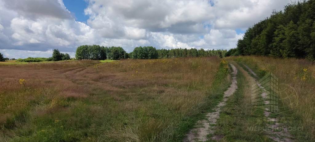 Na sprzedaż działka w Pobierowie . (3)