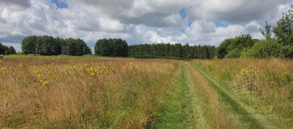 Na sprzedaż działka w Pobierowie . (9)