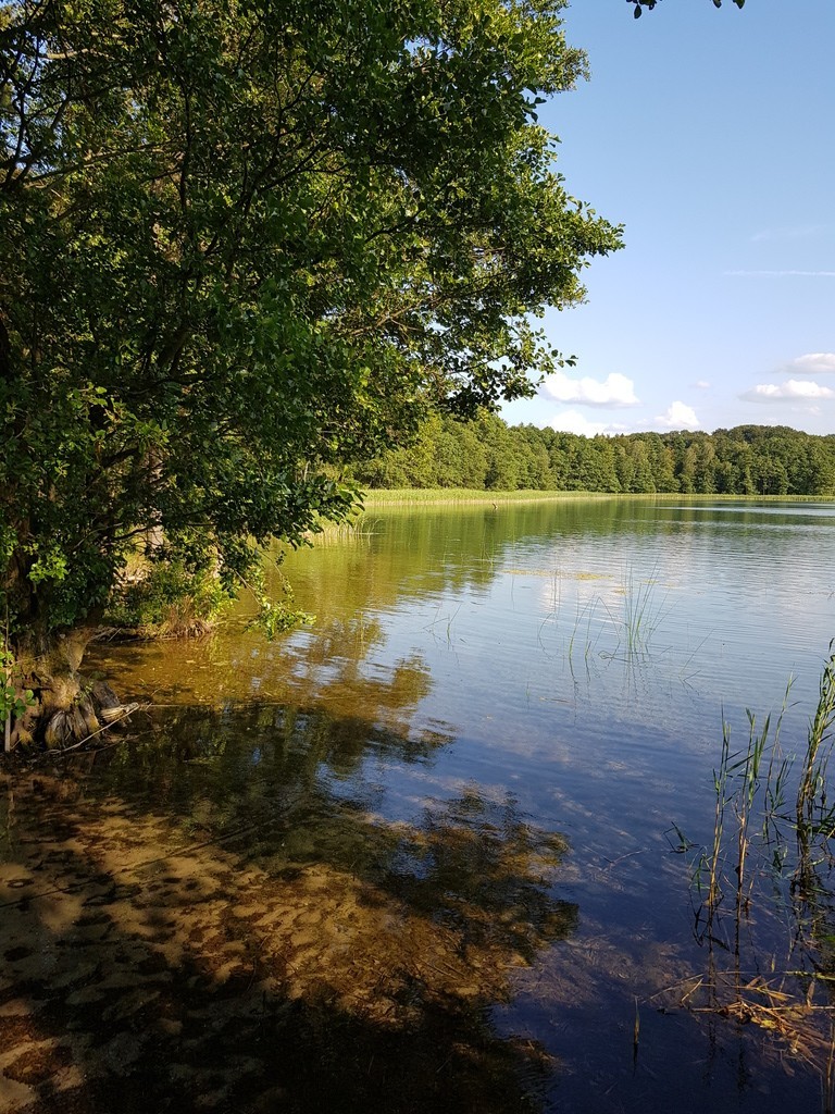 Sprzedaż działki blisko jeziora Komorze. (3)