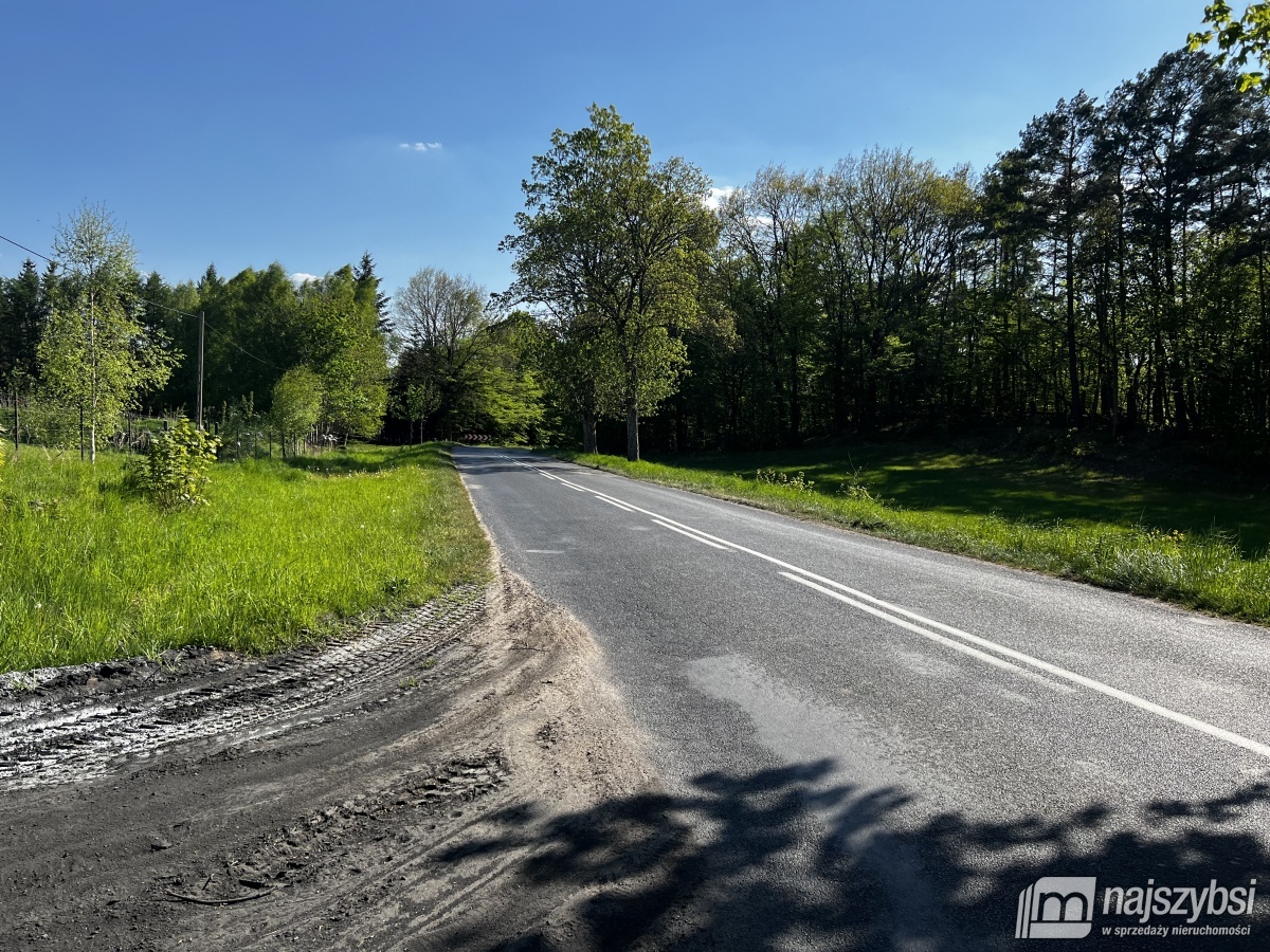 DZIAŁKA Z WARUNKAMI ZABUDOWY NIEŻYN ! (8)