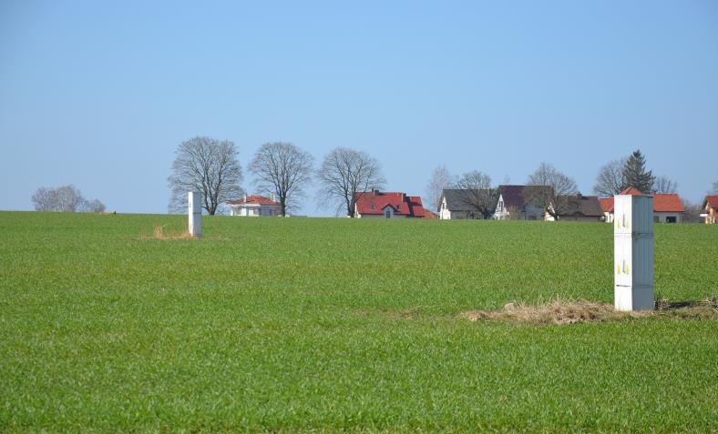 Działka, Niekłonice Niekłonice Las (4)