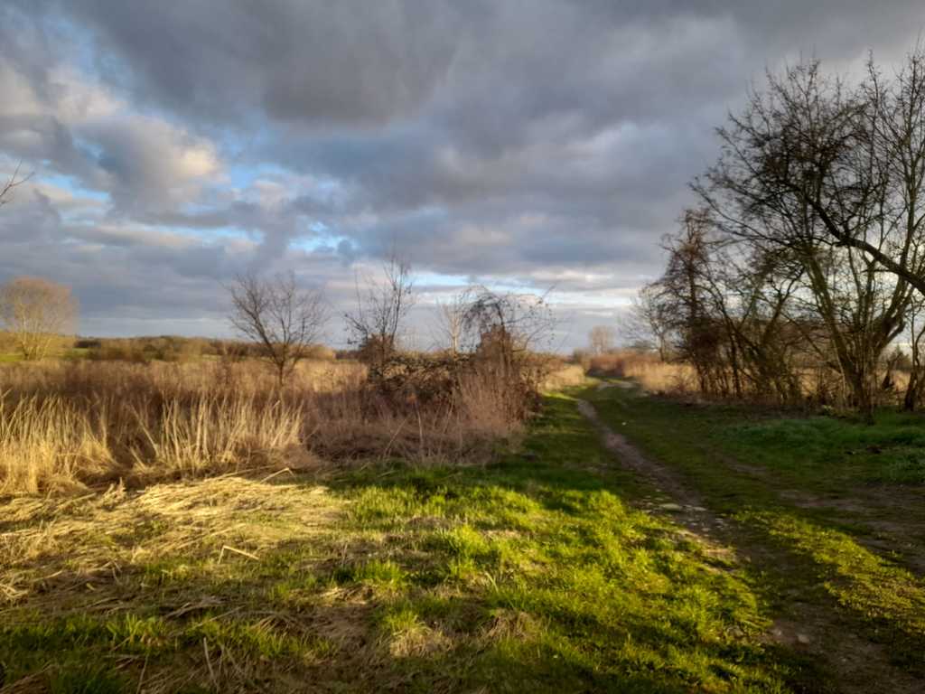 Działki w Jenikowie, 10 km od Maszewa (1)