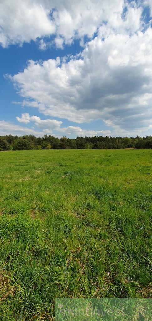 DZIAŁKA BUDOWLANA 3KM OD CENTRUM GOLENIOWA (7)