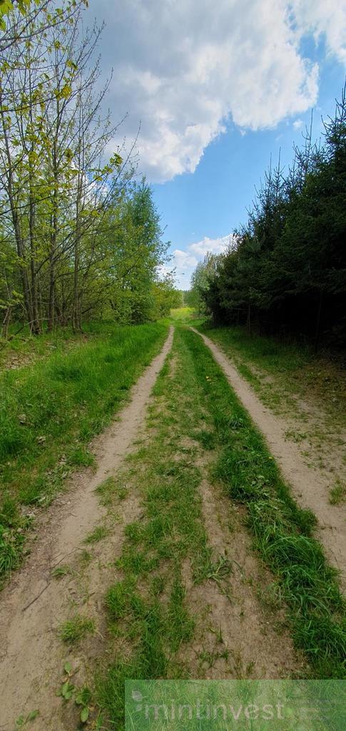 DZIAŁKA BUDOWLANA 3KM OD CENTRUM GOLENIOWA (6)