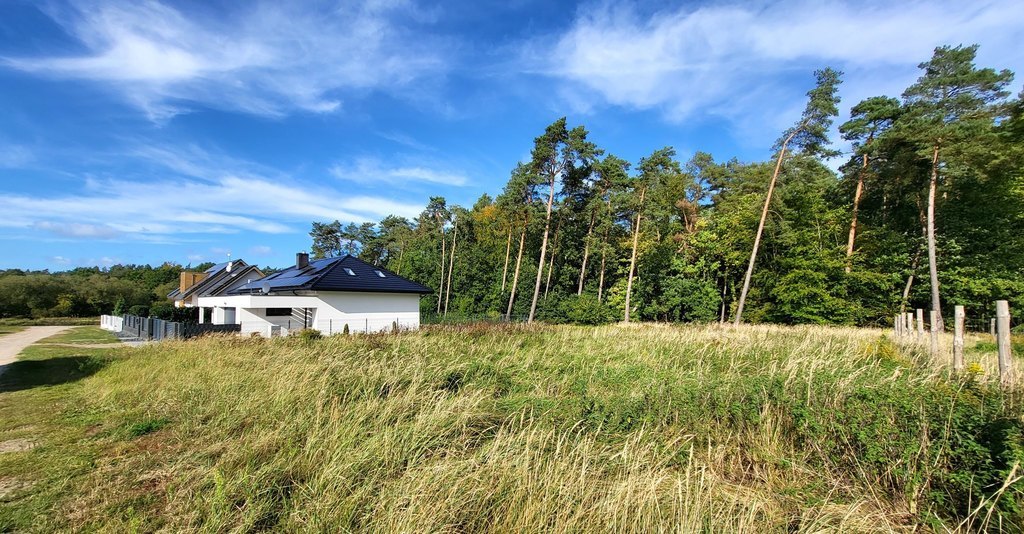 Działka z furtką do Puszczy Wkrzańskiej (2)