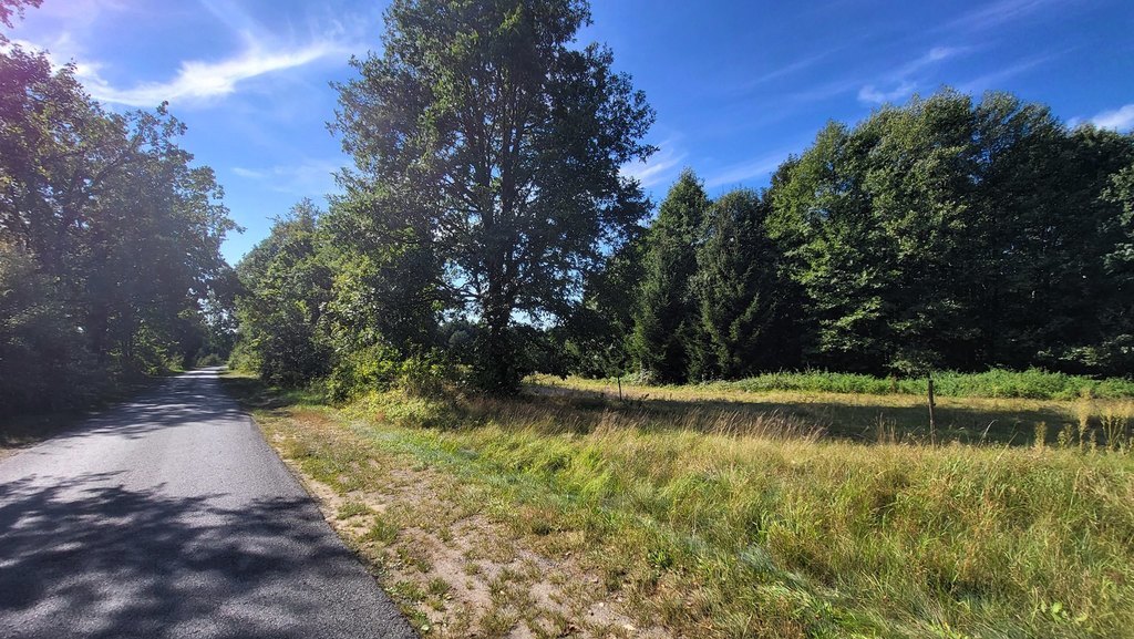 Działka z linią brzegową rzeki, lasem i stawem. (5)