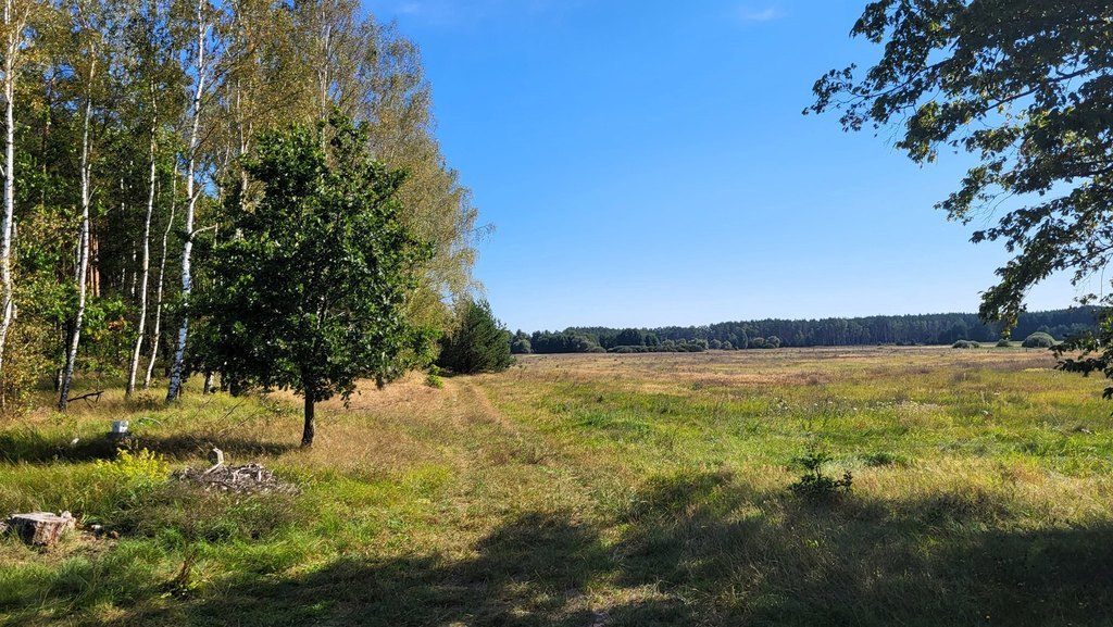 Działka z linią brzegową rzeki, lasem i stawem. (15)