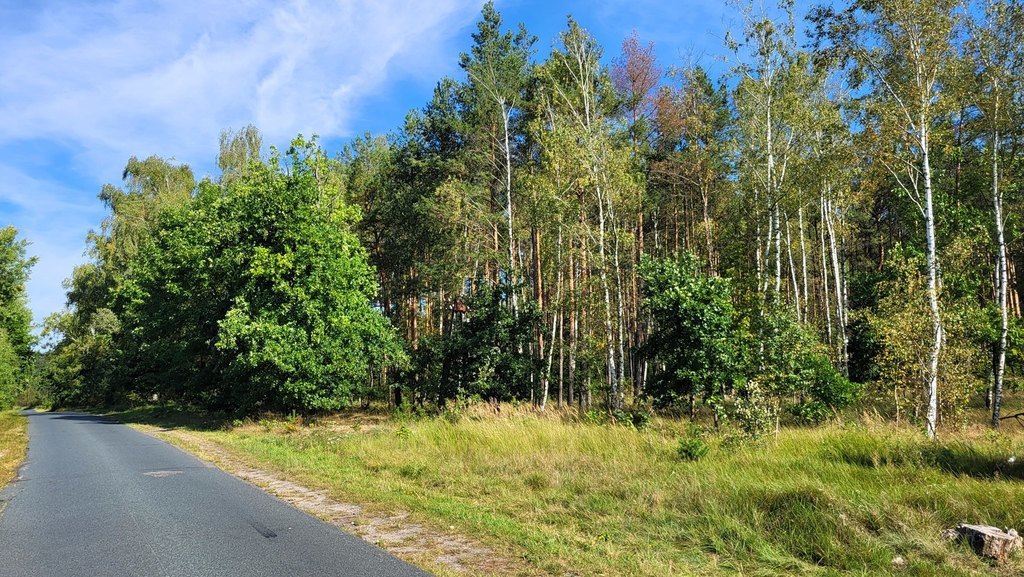 Działka z linią brzegową rzeki, lasem i stawem. (11)