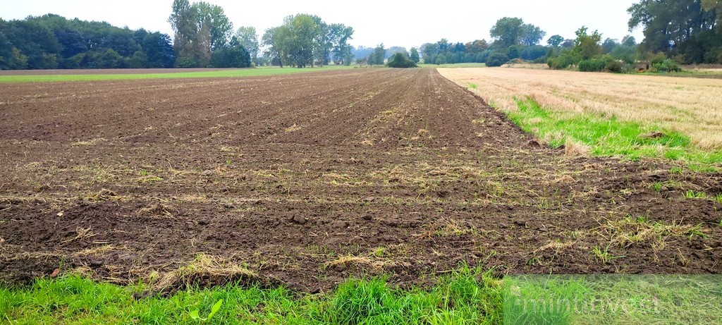 Działka na sprzedaż Rożnowo Nowogardzkie (1)