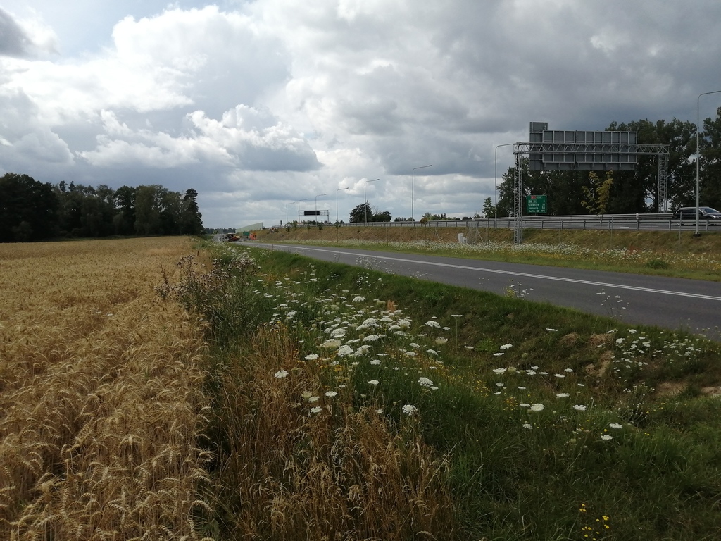 Działka zagrodowa z funkcją agroturystyki przy A6 (3)