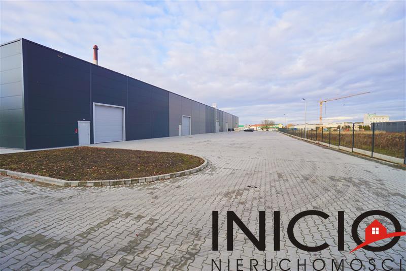 Lokal, 600 m2, Koszalin  (14)