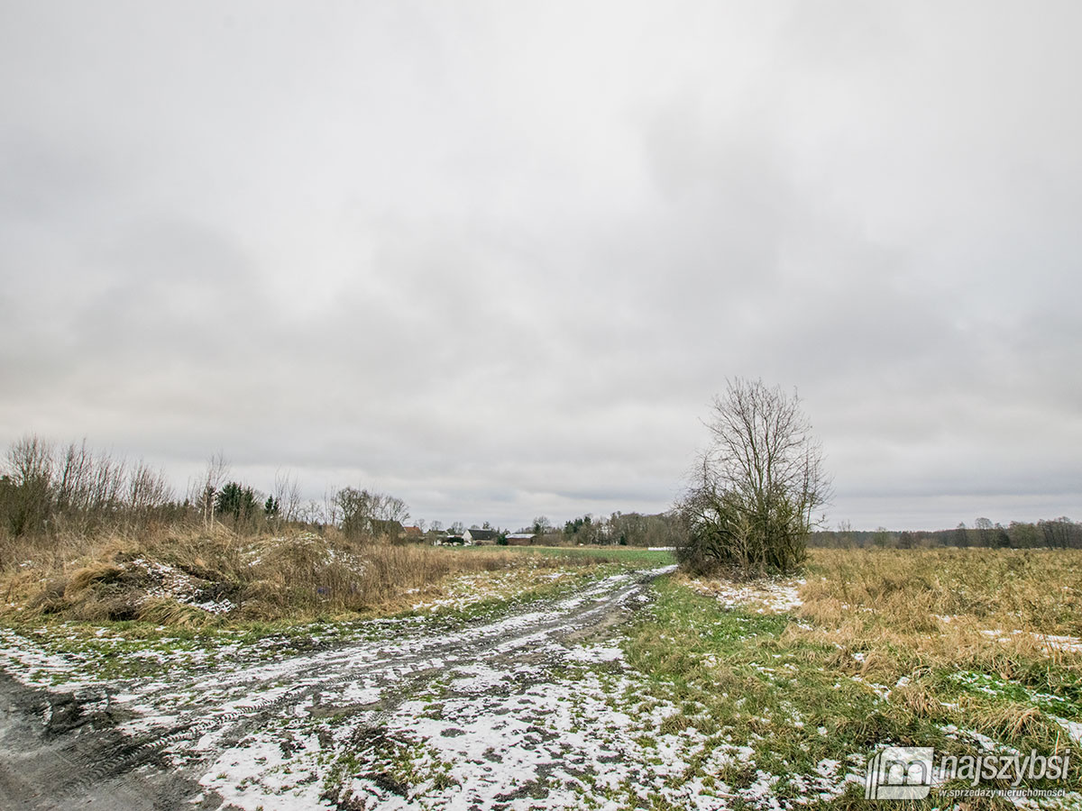 Działka, Golczewo Obrzeża (10)