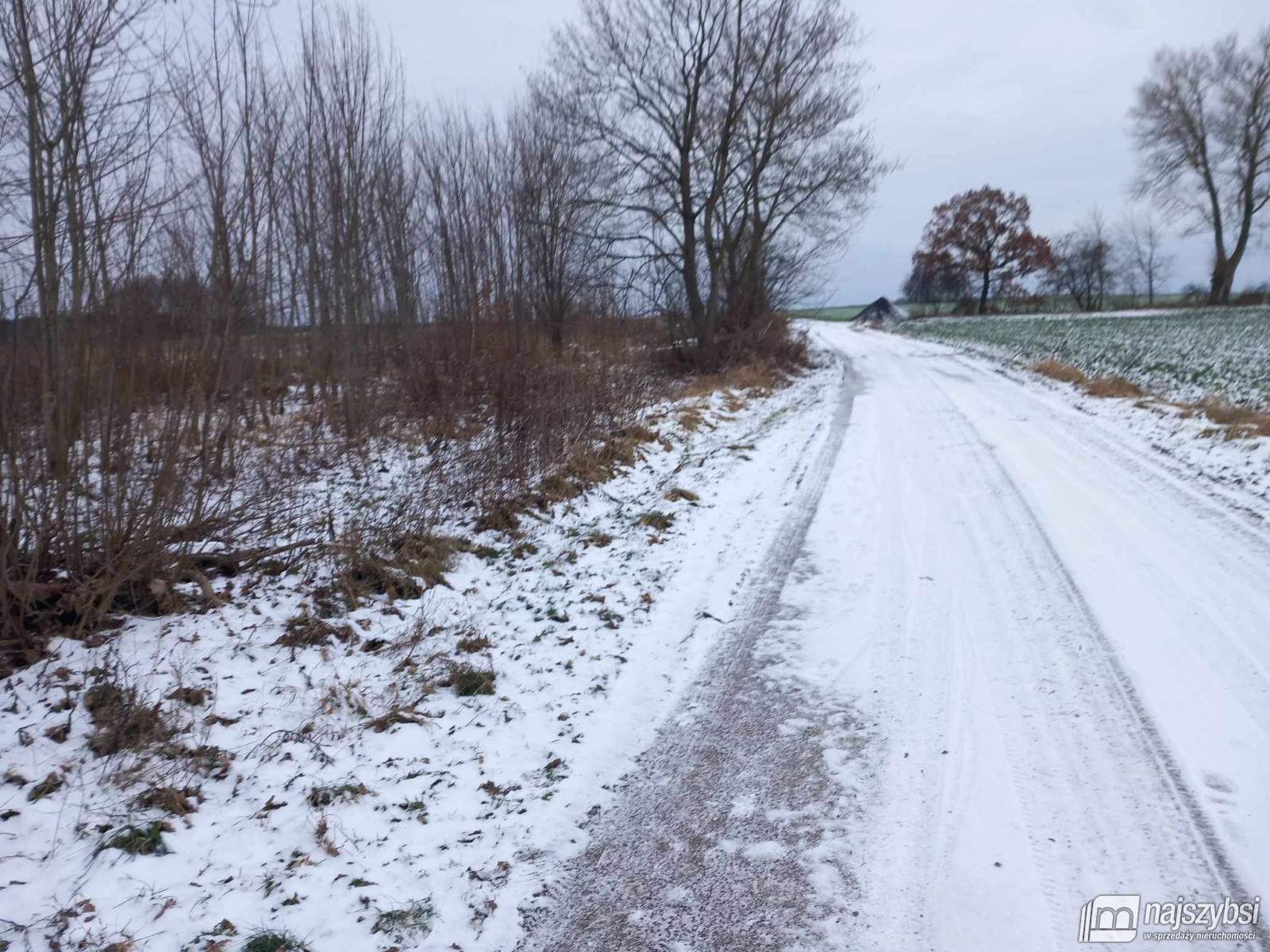 Działka, Golczewo Obrzeża (2)