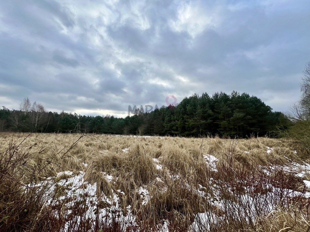 Działka w kompleksie - Brzózki, 450m do zalewu! (5)