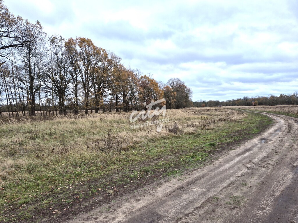 Łęgi - działka 3060 m2 (1)