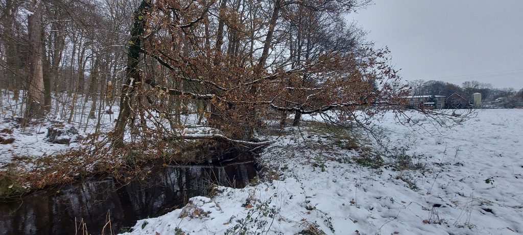 Działka w miejscowości Budzieszowce 3800 m2 (4)