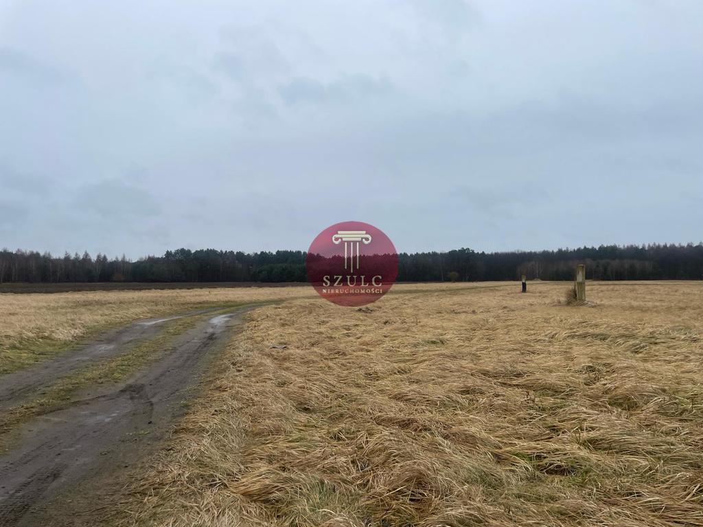 Sprzedam trzy działki w Białuniu blisko lasu. (4)