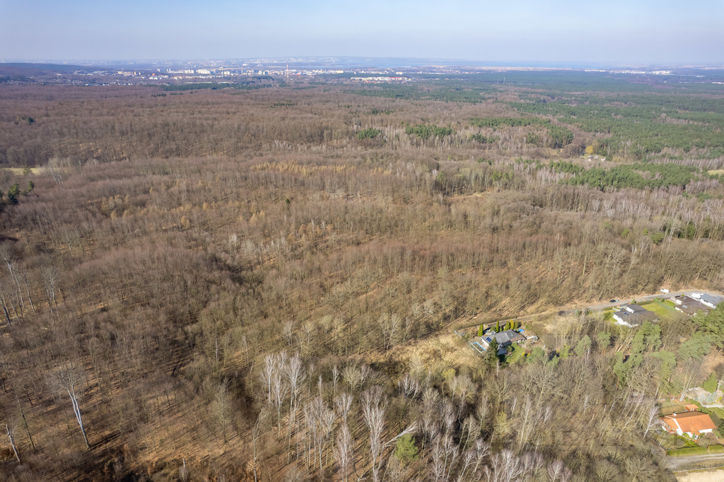 Działki w Płoni na sprzedaż (5)