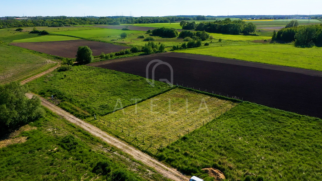 Działka z widokiem na Jezioro Dąbie. (3)